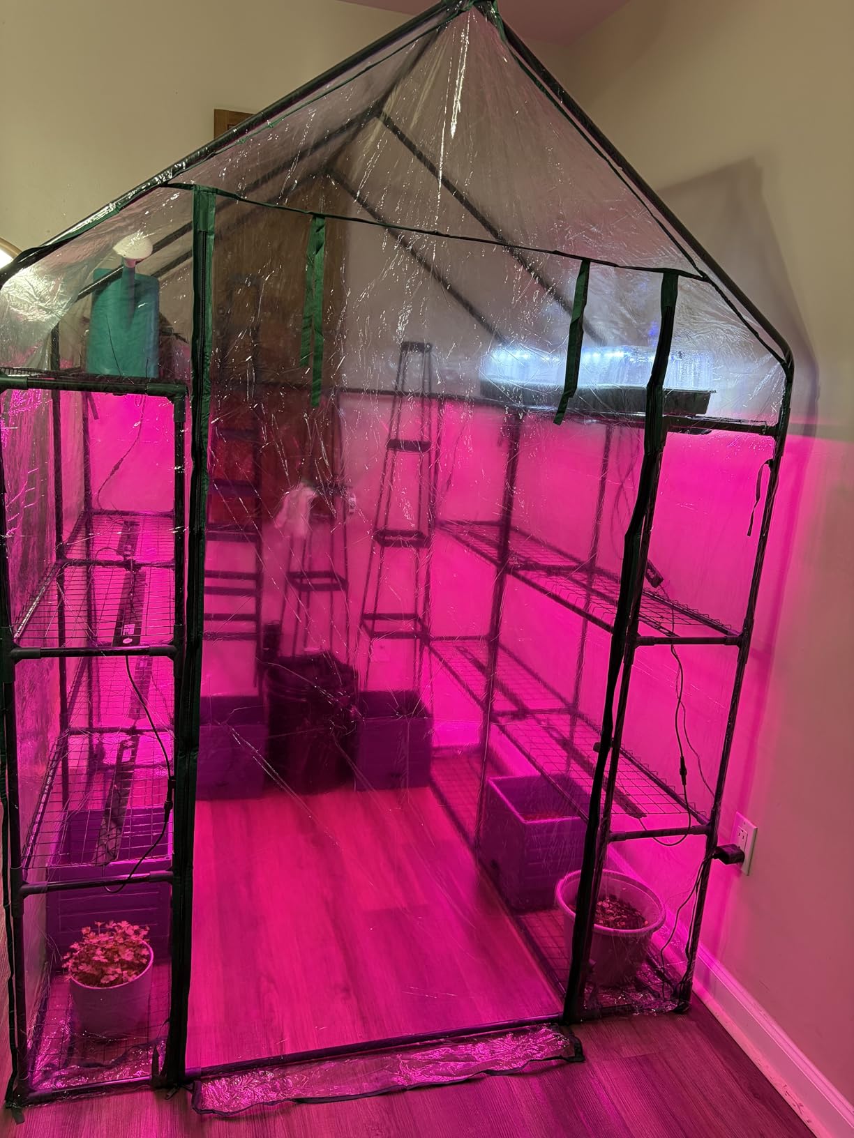 Bstrip Indoor Greenhouse with Grow Light, 5-Tier Large Greenhouse Cabinet | 5x24W LED Grow Lights, Clear PVC Cover, 5 Heavy Duty Shelves, Airflow Windows, Zippered Door, 40.2x18.9x74.8in, Auto Timer customer photo 1