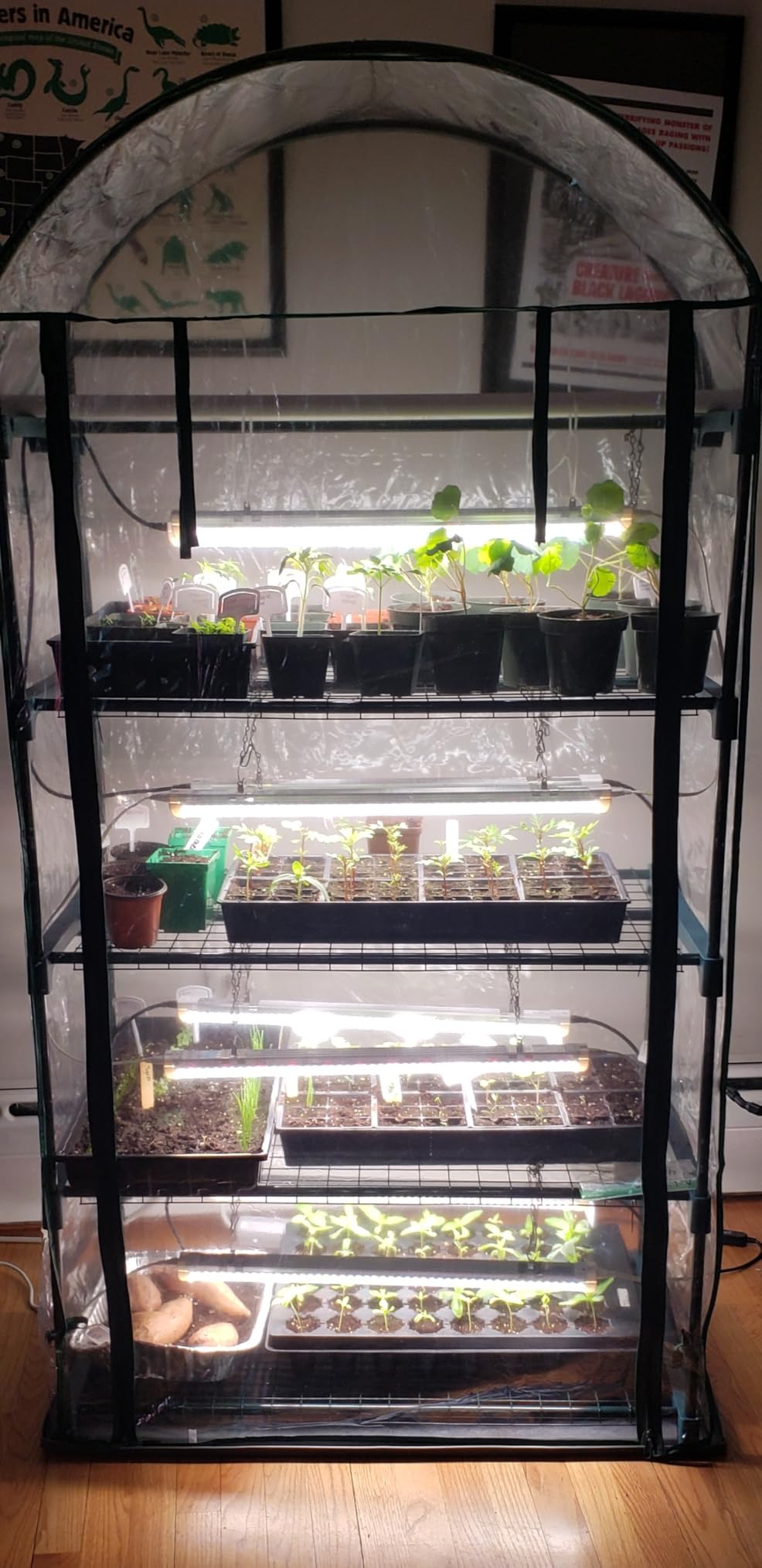 Bstrip Indoor Greenhouse with Grow Light, 5-Tier Large Greenhouse Cabinet | 5x24W LED Grow Lights, Clear PVC Cover, 5 Heavy Duty Shelves, Airflow Windows, Zippered Door, 40.2x18.9x74.8in, Auto Timer customer photo 2