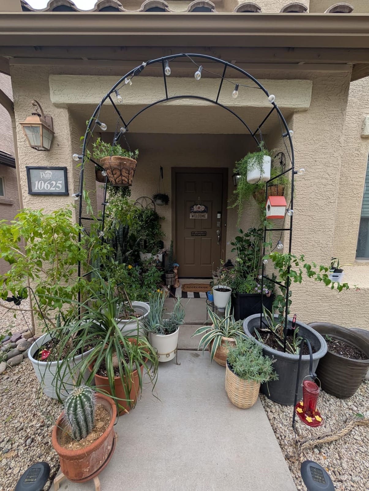 Garden Arch Galvanized Metal Rust-Proof Heavy Duty for Climbing Vines Roses customer photo 1