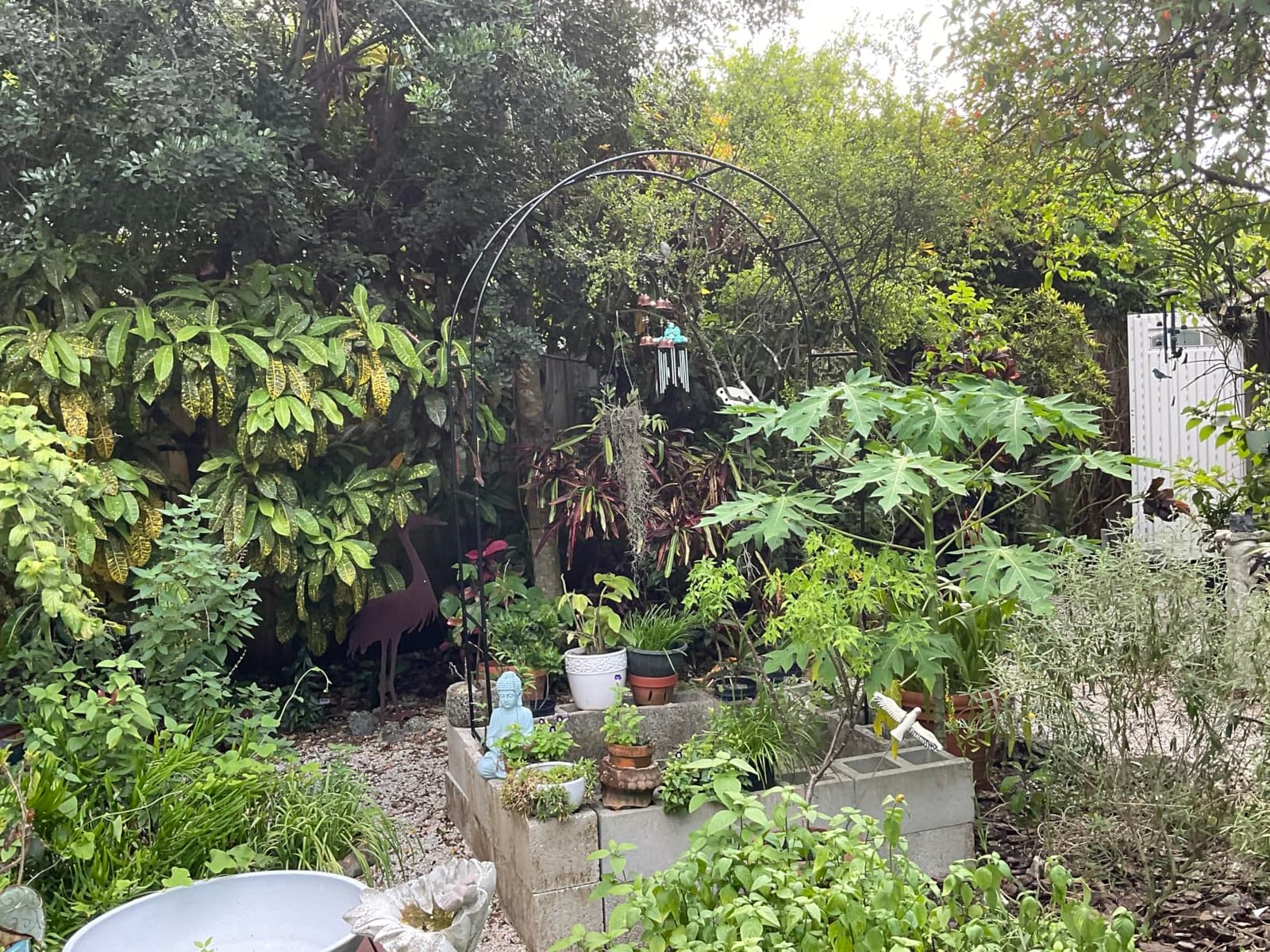 Garden Arch Galvanized Metal Rust-Proof Heavy Duty for Climbing Vines Roses customer photo 2