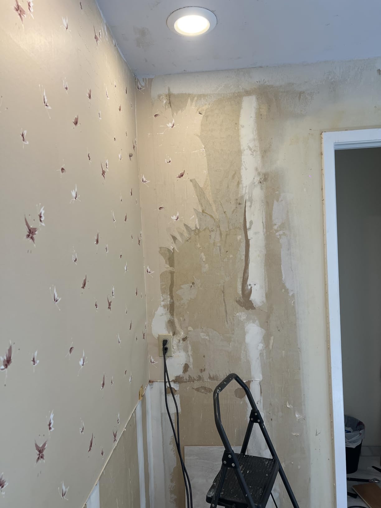 KITLUCK Wallpaper Steamer, 1500W Chemical Free Wallpaper Remover with 11.5 FT Cooling-Touch Hose, 1.2 Gallon Water Tank customer photo 2