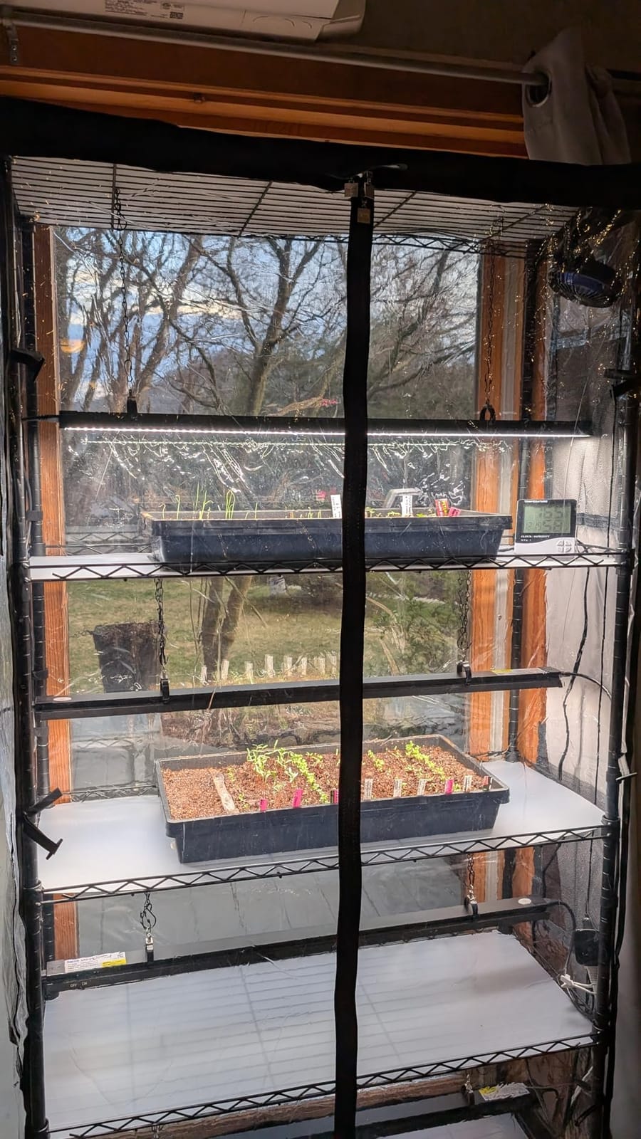 Barrina LP750 Indoor Greenhouse with Grow Light, 4 Tier Stand with Tent | Adjustable Shelf, 105W TX-S35 2FT, 5000K Full Spectrum for Seedling, Tropical Plants, Timer Thermometer, 29.5 x 13.8 x 59.1IN customer photo 2