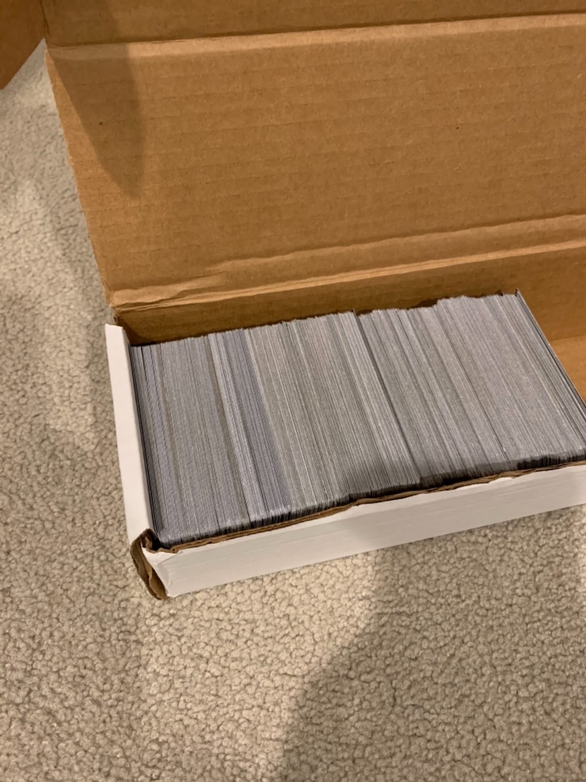 BCW 800ct Trading Card Storage Boxes – 6 Pack | Organizer for Sports and Trading Cards | Card Storage Solution customer photo 2