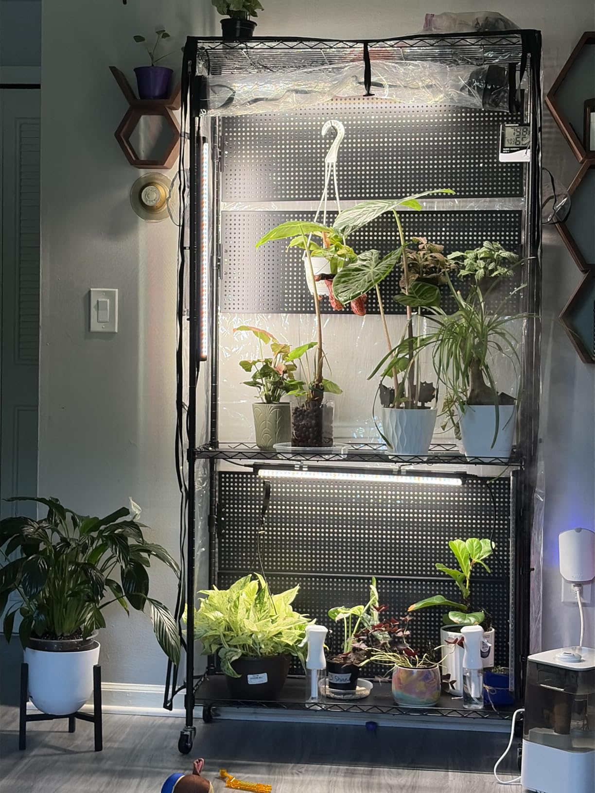 Bstrip Indoor Greenhouse with Grow Light, Pegboard and Tray, 35.4x13.8x71in | Indoor Greenhouse Cabinet, 4-Pack Full Spectrum Plant Lights, 96W Total, Base Tray, Ideal for Foliage Plants, Indoor Growing customer photo 1