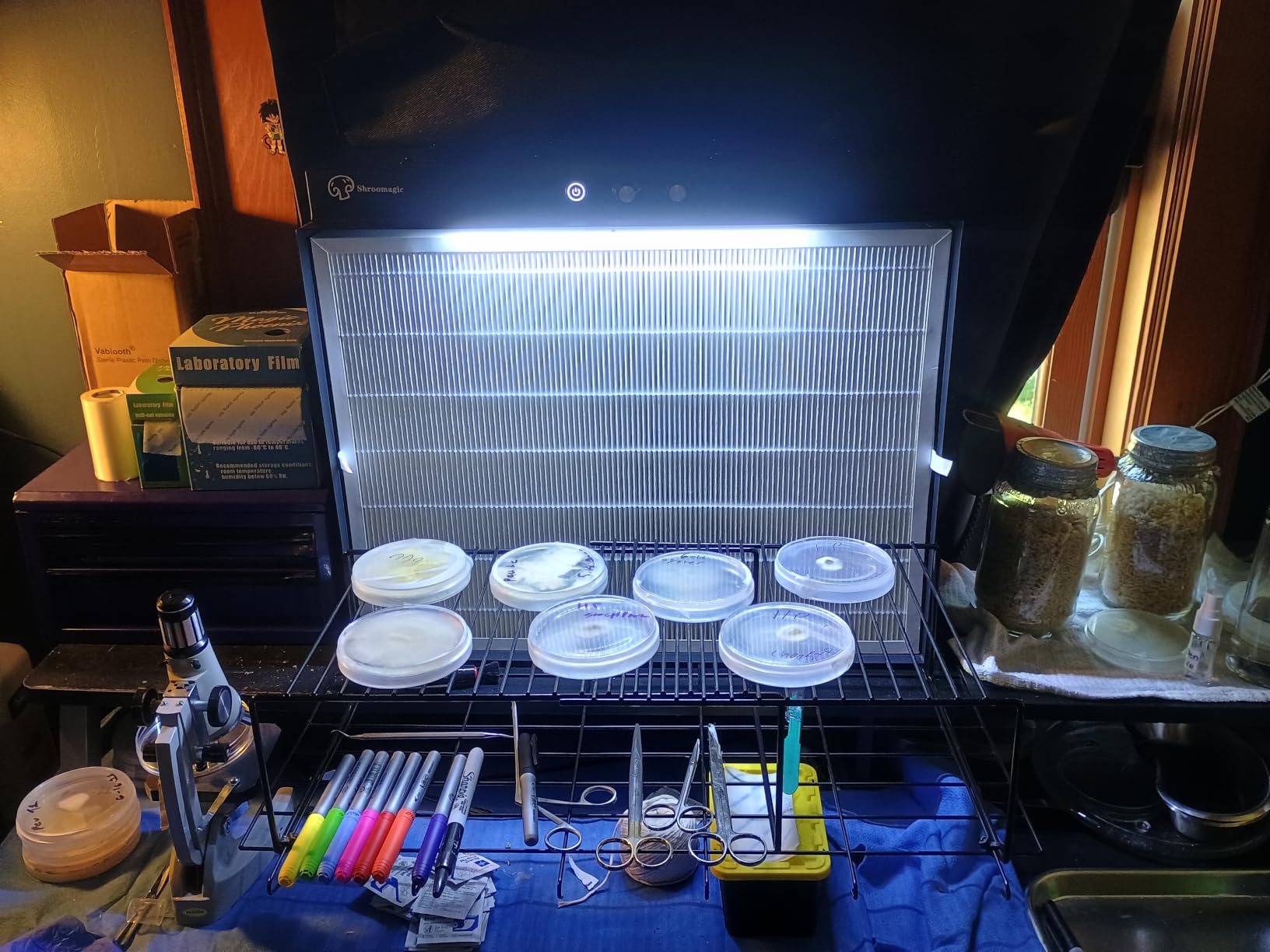 Laminar Flow Hood with H13 HEPA Filter (20