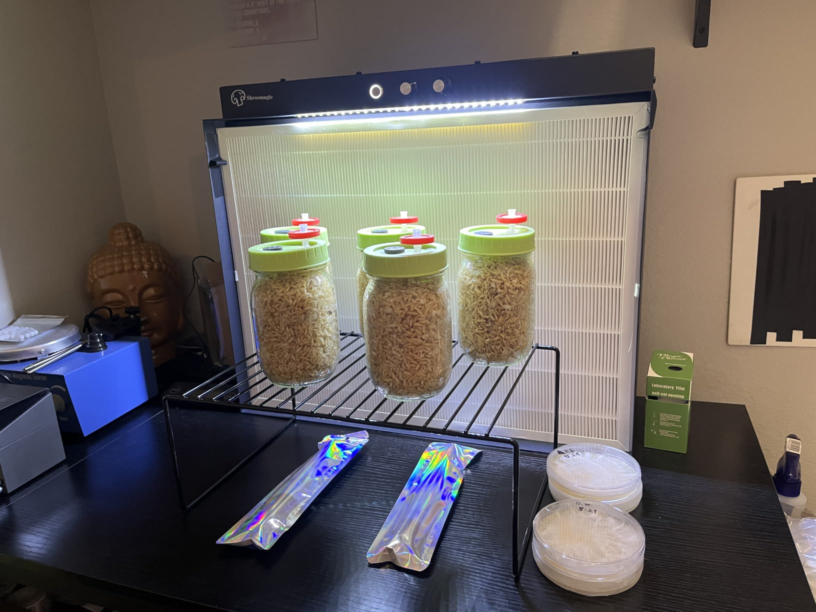 Laminar Flow Hood with H13 HEPA Filter (20