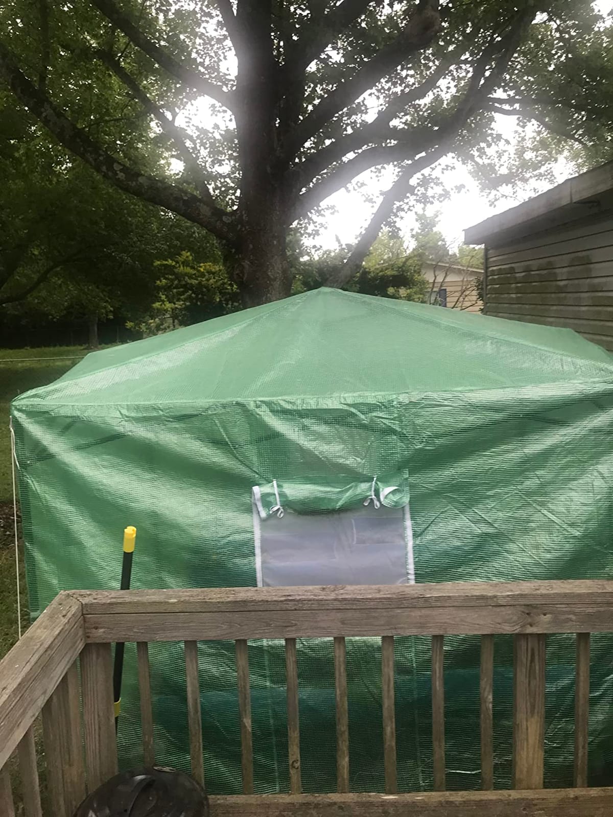 CROWN SHADES 12X8 Pop Up Outdoor Walk-in Portable Greenhouse,Green customer photo 1