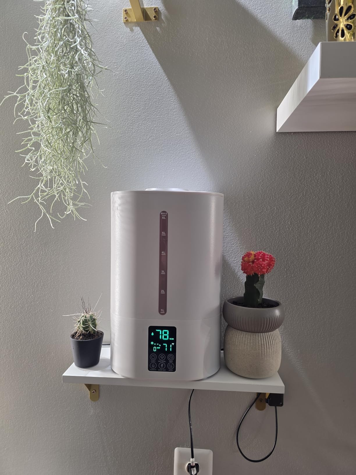 Coolfiqu 6L Warm & Cool Mist Humidifiers for Bedroom, Large Room, Plants | Quiet Top Fill Ultrasonic Humidifier, Essential Oil Diffuser, Auto Humidity Control, Hot Mist Desk Humidifiers, 360° Nozzle customer photo 1