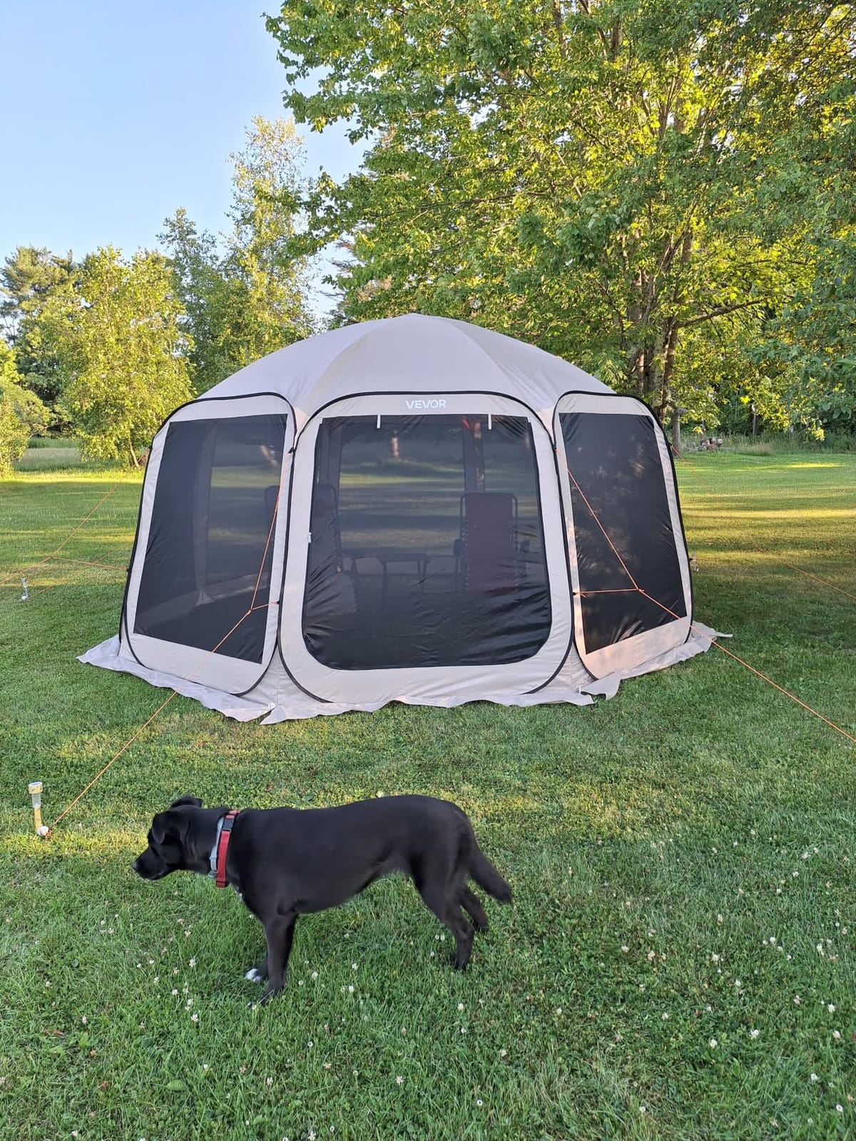 VEVOR Pop up Screen House Tent, 10 x 9.2 ft, 4-8 Person Screen Gazebo, Portable Screened in Canopy with Carry Bag, Netting Sides, Ground Stakes, for Garden, Patio, Backyard, Outdoor Activities, Beige customer photo 2