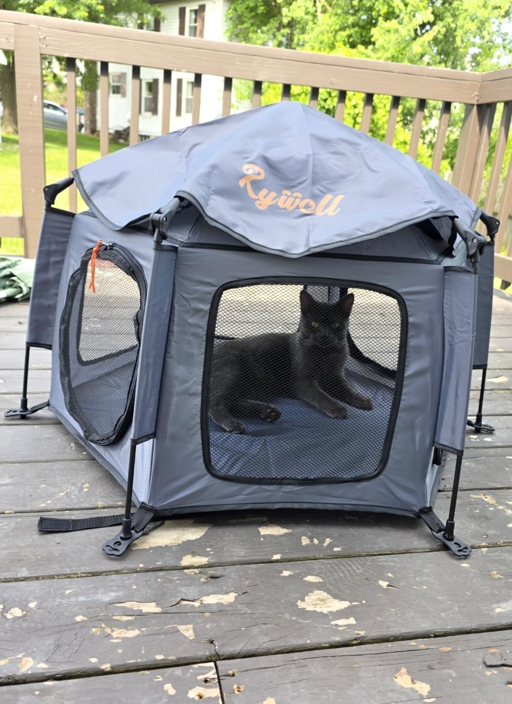 Catio Outdoor Cat Enclosure, Rywell 55
