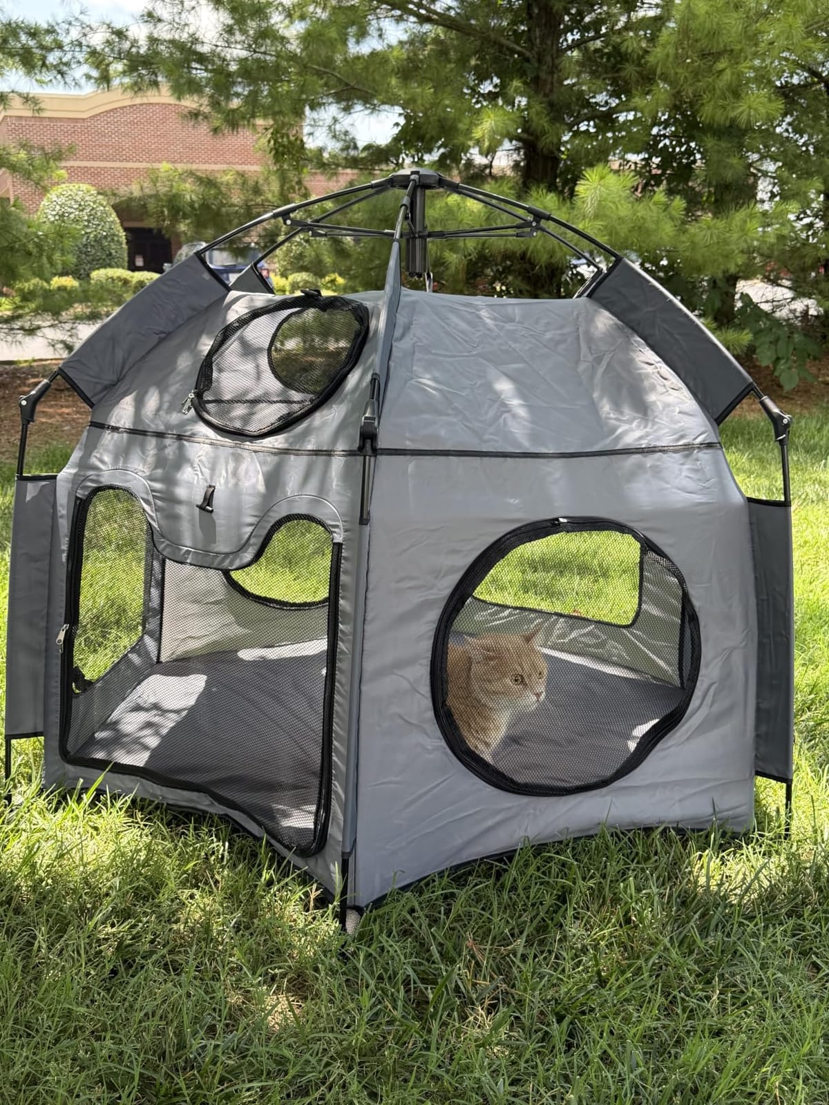 Catio Outdoor Cat Enclosure, Rywell 55
