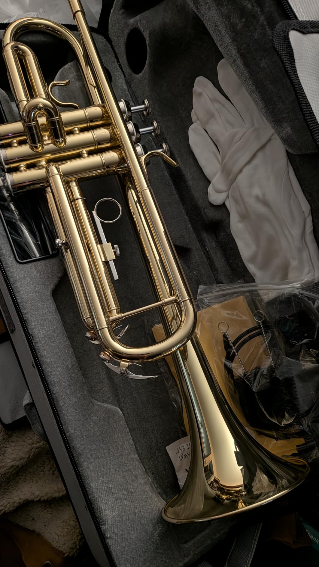 STRICH Bb Standard Trumpet Set for Beginners Student | Brass Trumpet Instrument with Hard Case, Cleaning Kit, 7C & 3C Mouthpieces, Gloves STR-130G, Gold customer photo 2