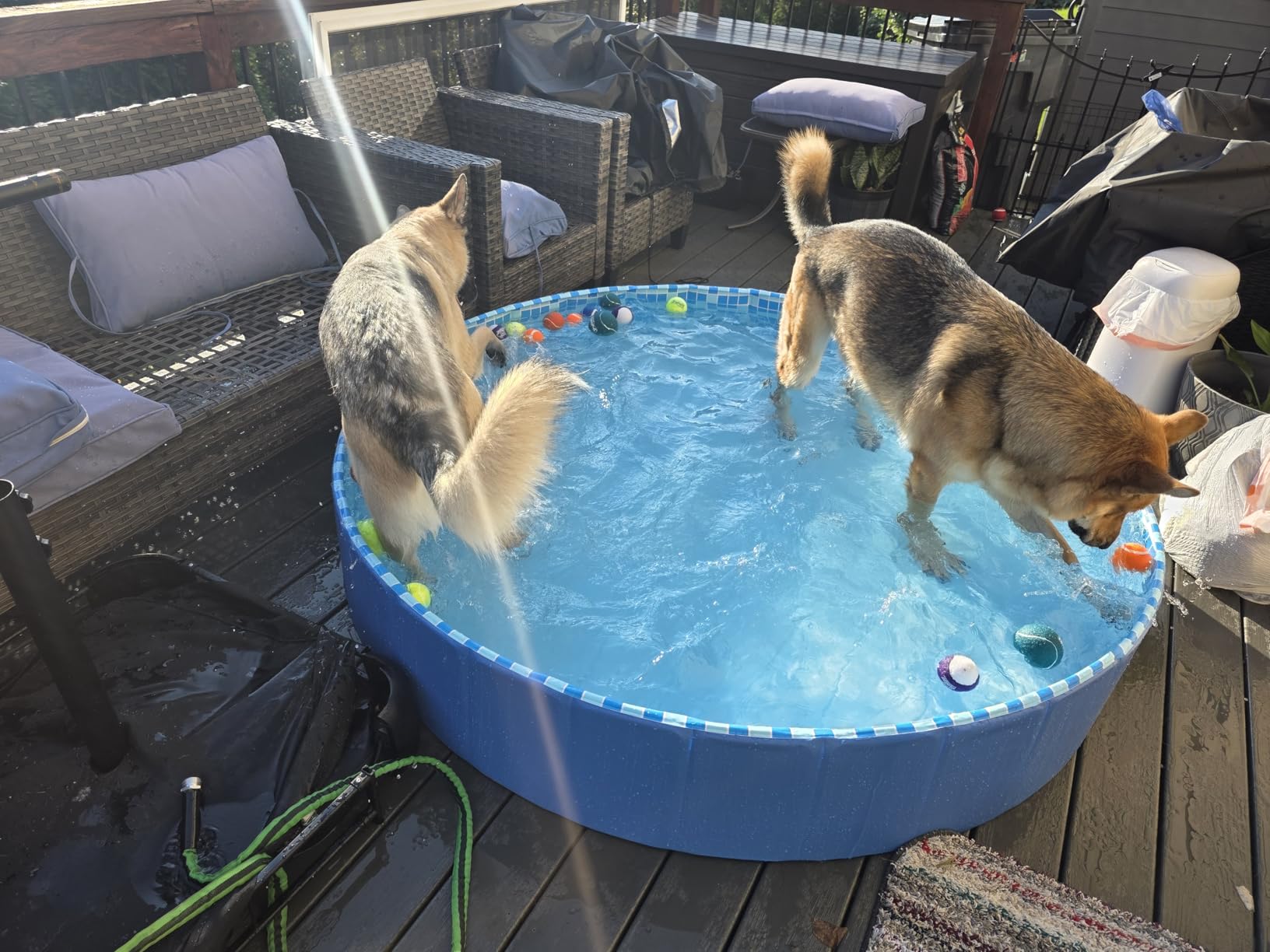 Pawtners Foldable Dog Pool with Sprinkler & RGB LED Light, 72