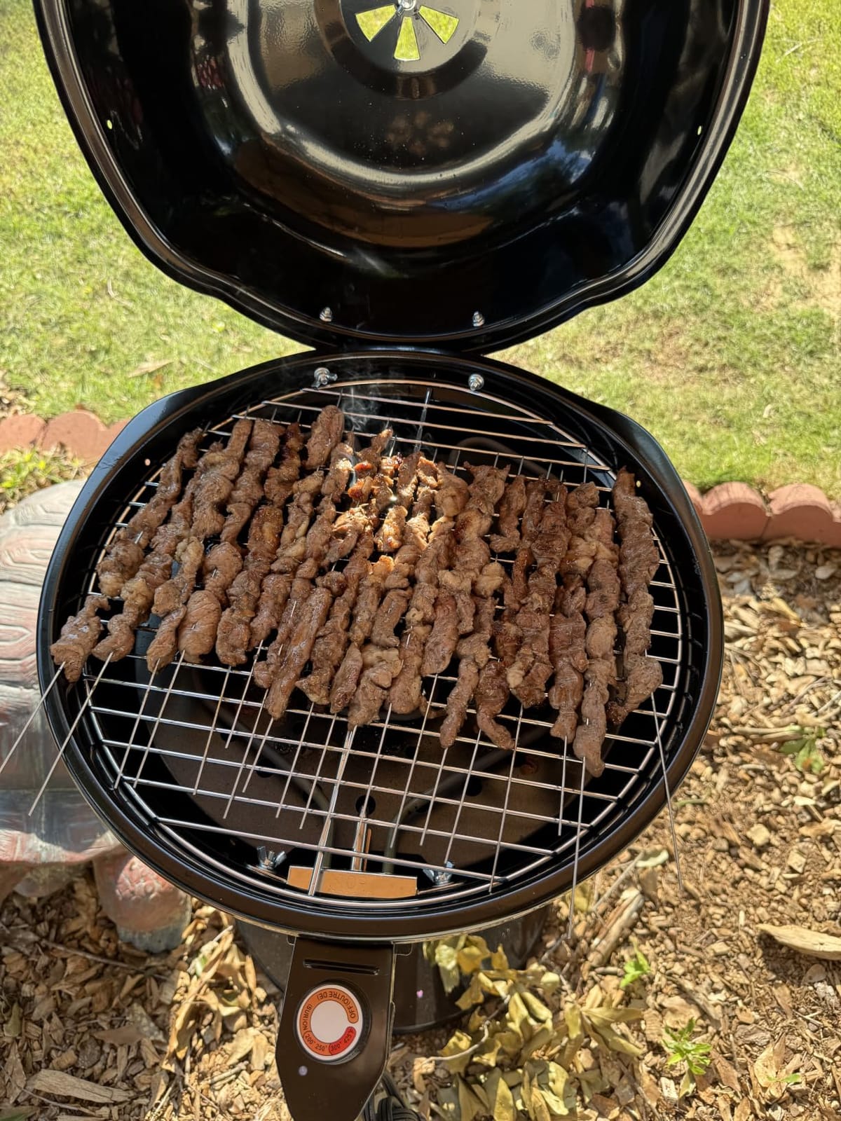 Electric Grill Outdoor, CUSIMAX Electric BBQ Grill, Portable BBQ with Lid customer photo 1