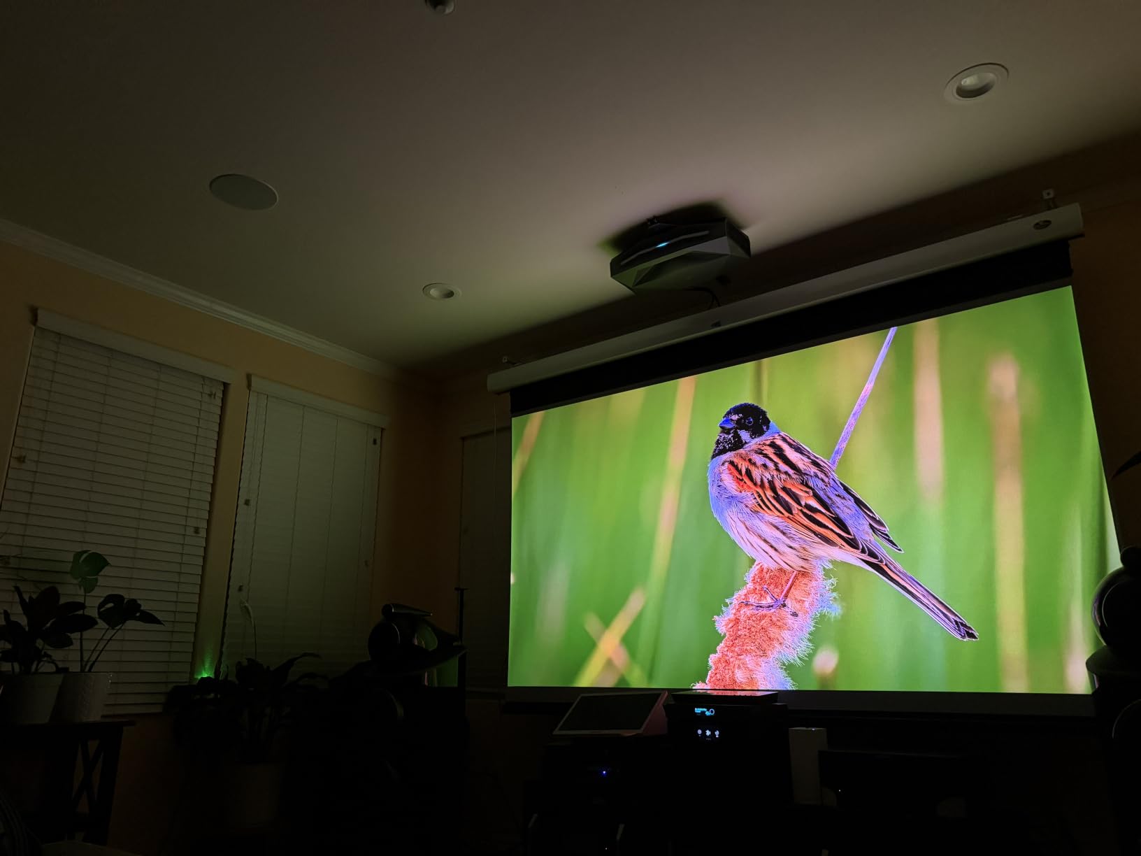 AWOL VISION Aetherion Max 4K Projector, Triple Laser UST Projector, 3300 ISO Lumens, Daytime Viewing, PixelLock™ 200