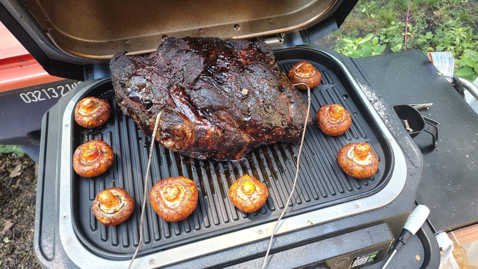 Ninja Woodfire ProConnect Premium XL Outdoor Grill & Smoker, Black & Gold customer photo 1