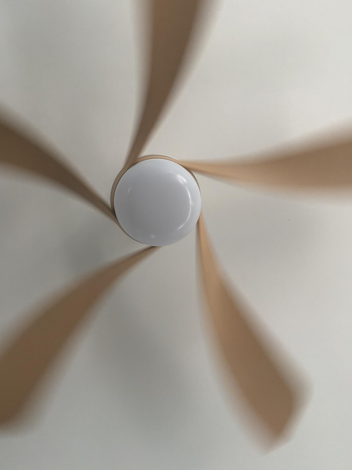 Sofucor 52 Inch Smart Ceiling Fans with Lights and Remote, APP Control customer photo 2