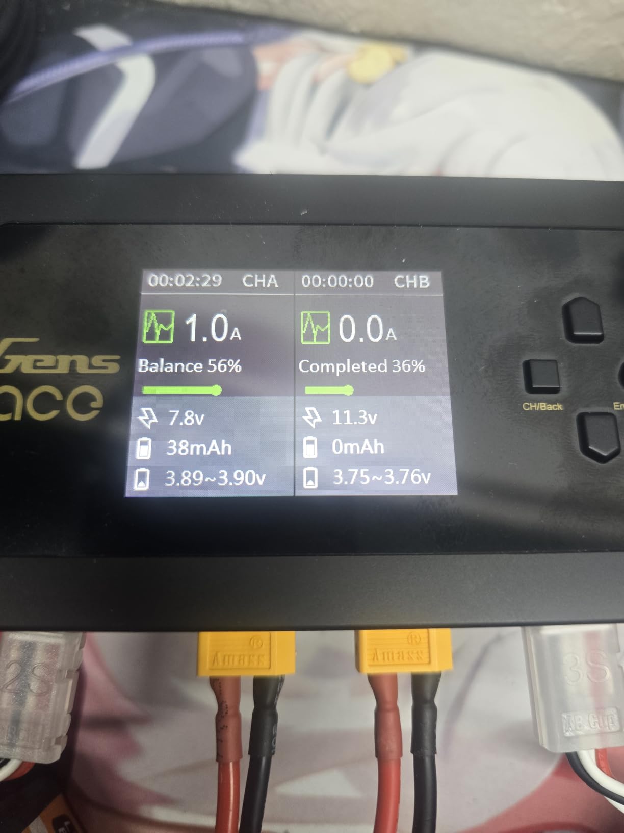 IMARS D300 Balance Charger, Gens Ace Dual Channel for RC 1~6S.Black | AC 300W / DC 700W (350W*2) 16A Smart Charger | G-Tech customer photo 1