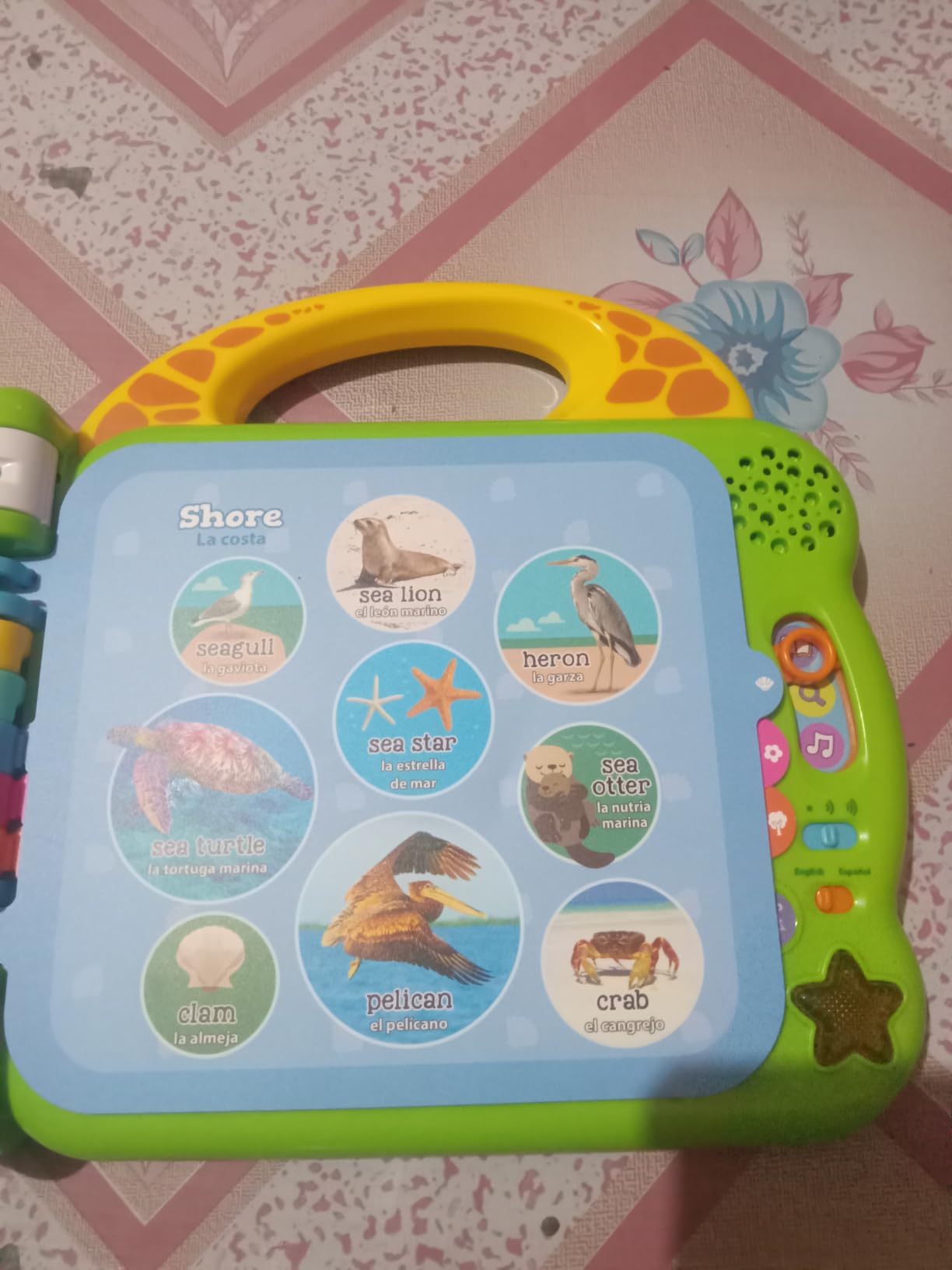 LeapFrog 100 Animals Book, Green customer photo 1
