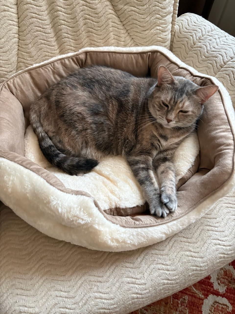 Bedsure Small Dog Bed Washable,Round Cat Beds for Indoor Cats,20in Camel customer photo 1