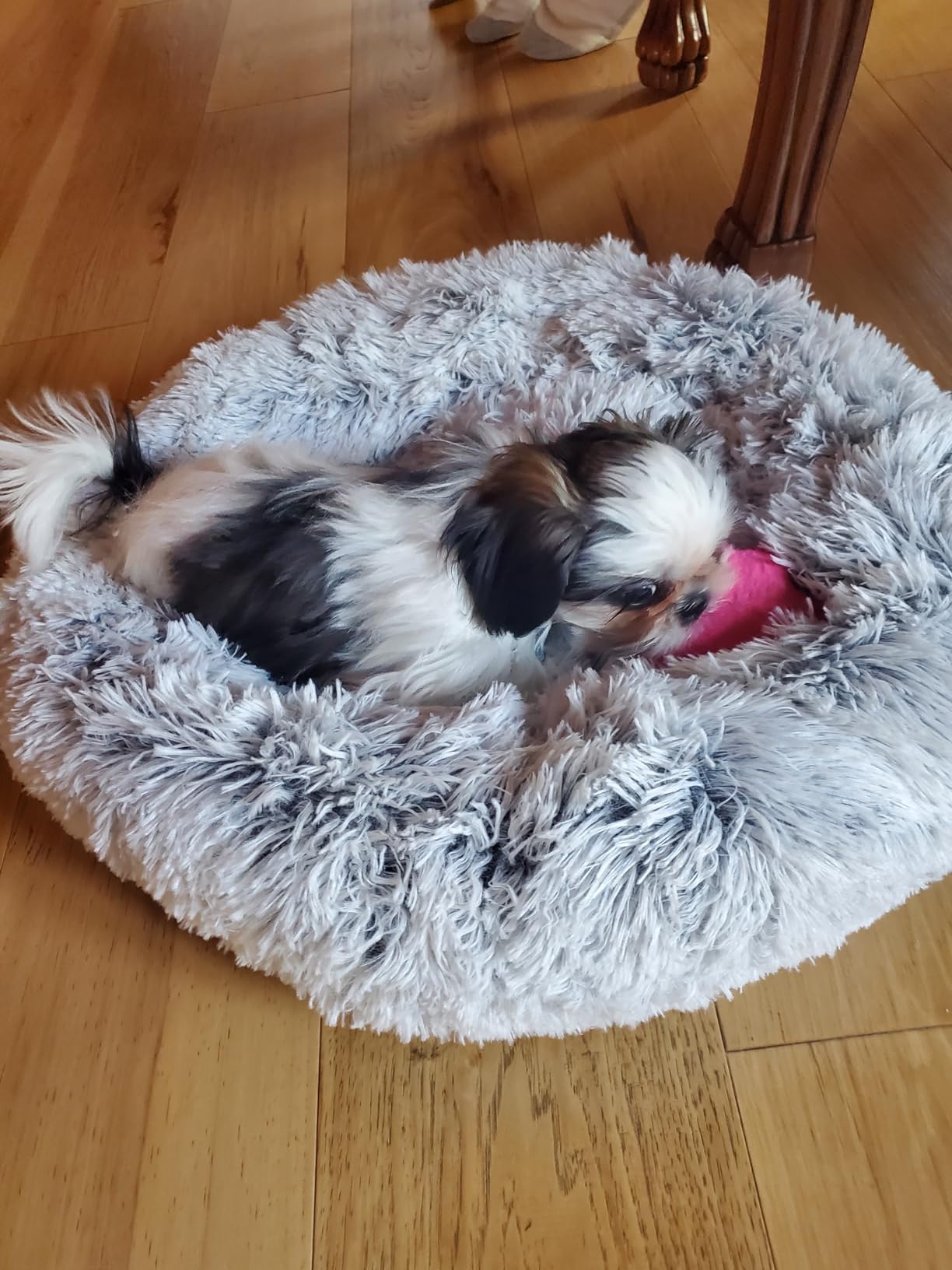 WESTERN HOME WH Calming Soft Round Dog &Cat Bed Small Dog Bed Washable,20