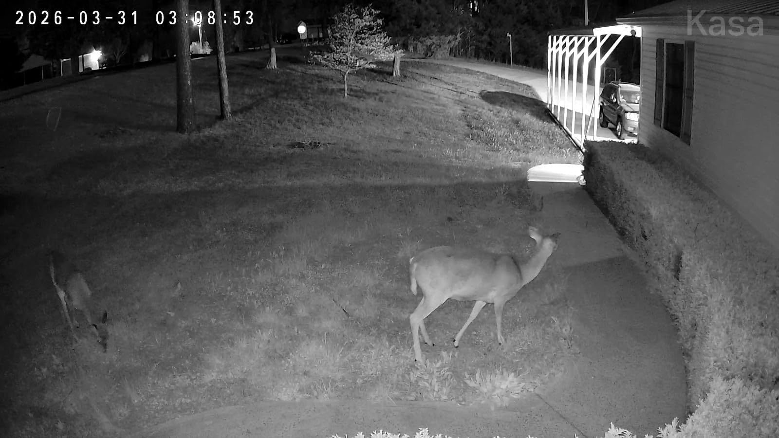 Kasa 2K+ Outdoor Wired Security Camera, KC420WS customer photo 1
