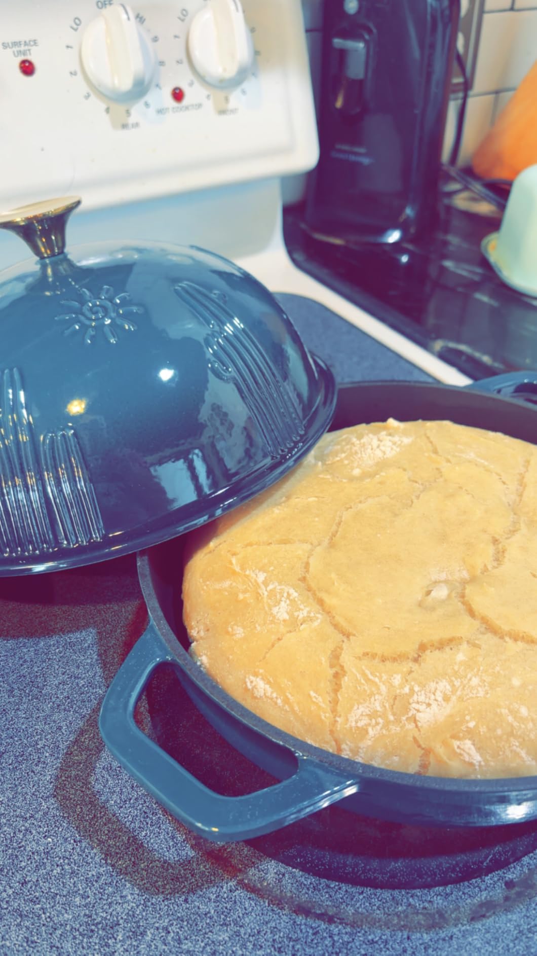 Flavehc Bread Oven Cast Iron Bread Dutch Oven with Cloche Lid for Bread Baking Darkcyan Enameled Cast Iron Bread Oven with Dome Lid for Sourdough, 9.8 Inches customer photo 1