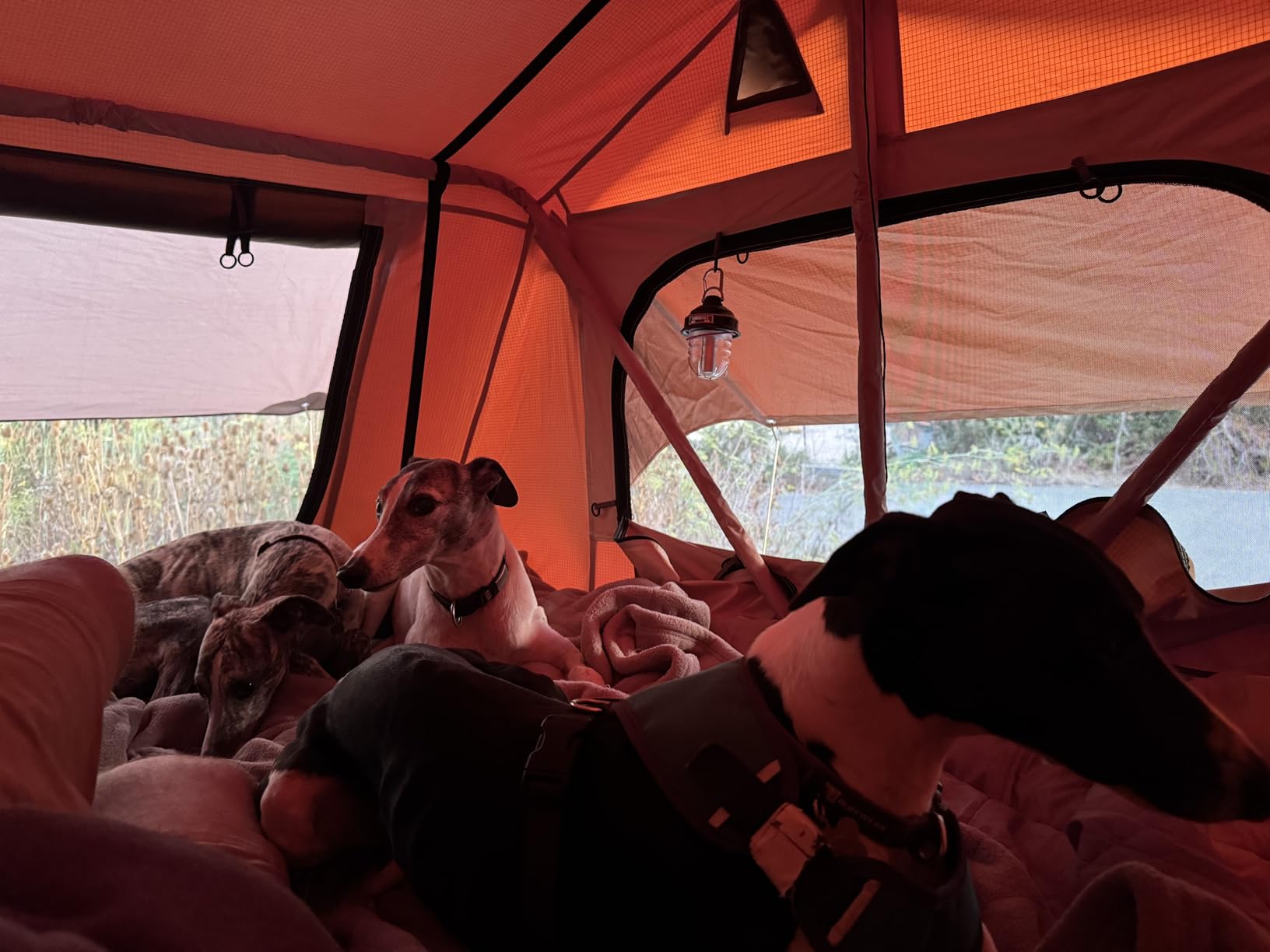 VEVOR Rooftop Tent Hard Shell, 2-3 Person Roof Top Tent for Car SUV Truck Jeep Van Camping with Telescopic Ladder, Thick Mattress & LED Light customer photo 2