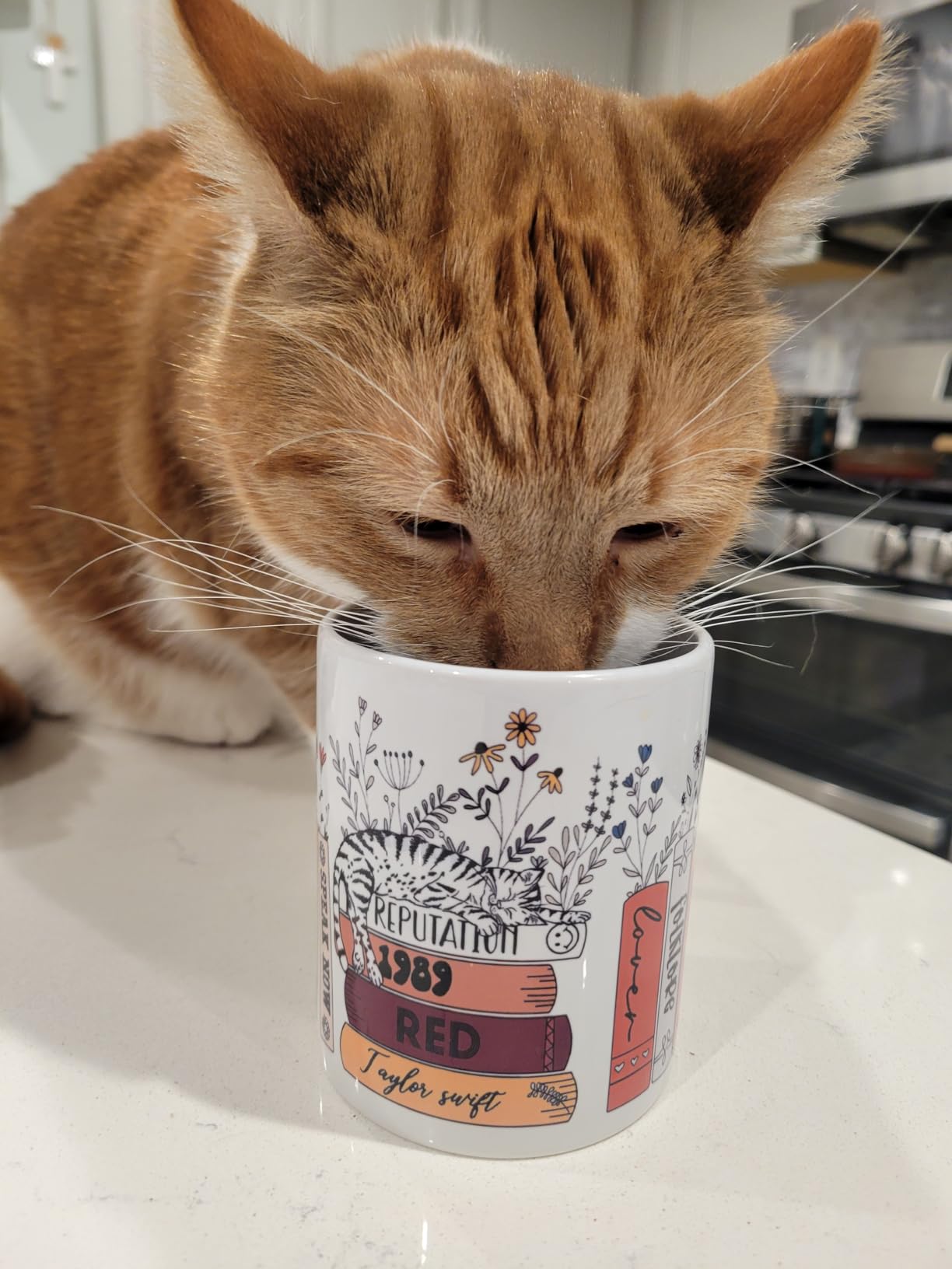 Book Lovers Gifts - Just One More Chapter Mug, Birthday Gifts for Women, Librarian Mug customer photo 1